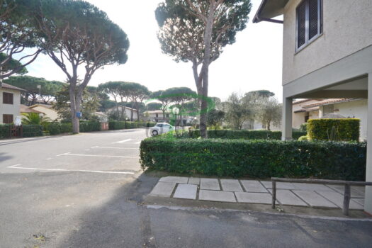 DELFINO 36 – TRILO PP