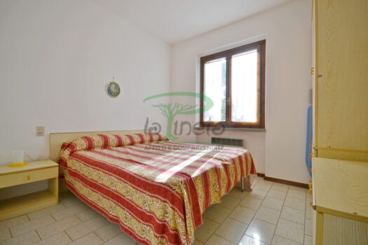 DELFINO 36 – TRILO PP