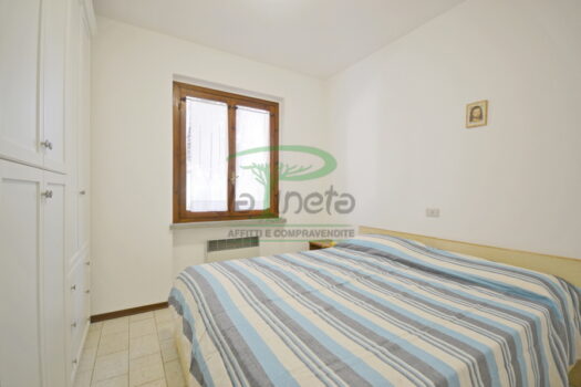 DELFINO 36 – TRILO PP