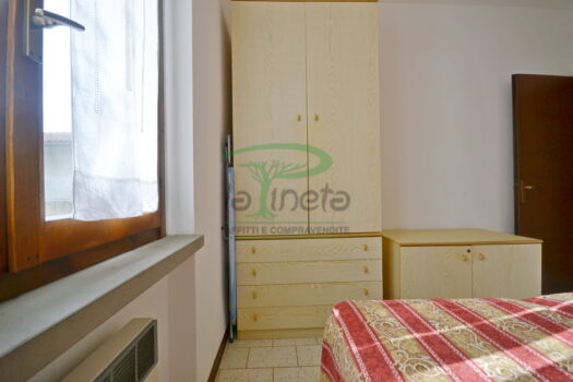 DELFINO 36 – TRILO PP