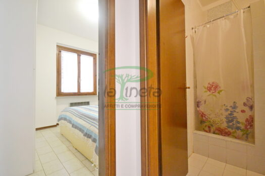 DELFINO 36 – TRILO PP