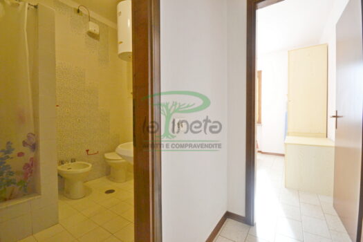 DELFINO 36 – TRILO PP