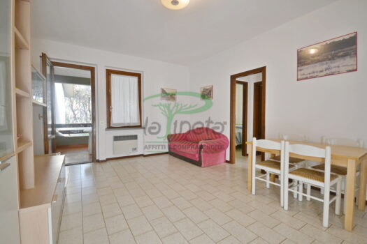 DELFINO 36 – TRILO PP