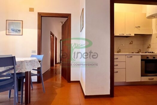 MURENE 23.3 – PP TRILO