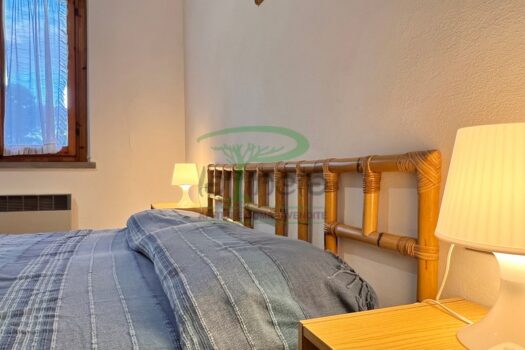 MURENE 23.3 – PP TRILO