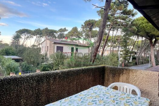 MURENE 23.3 – PP TRILO