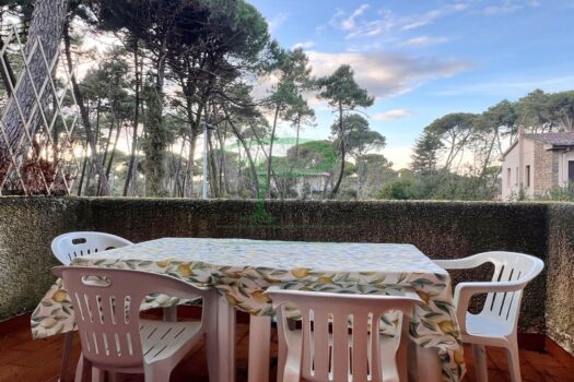 MURENE 23.3 – PP TRILO