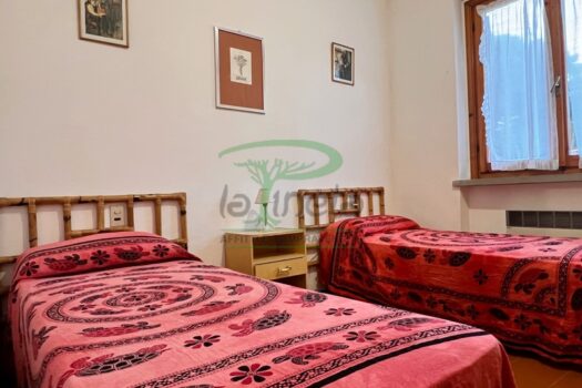 MURENE 23.4 – PP TRILO