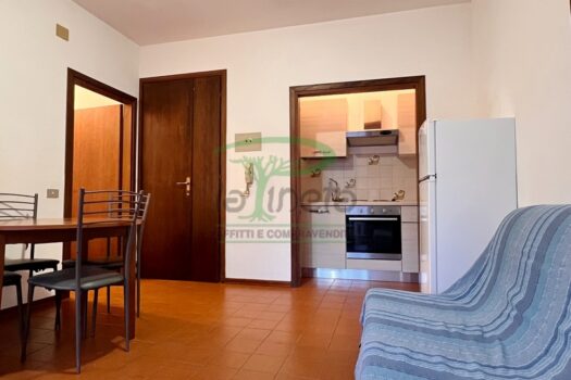 MURENE 23.4 – PP TRILO