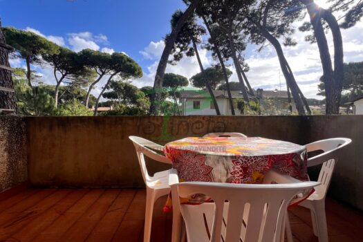 MURENE 25.4 – PRIMO PIANO