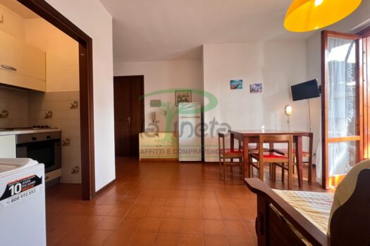 MURENE 25.4 – PRIMO PIANO