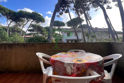 MURENE 25.4 – PRIMO PIANO