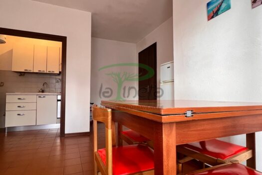 MURENE 25.4 – PRIMO PIANO