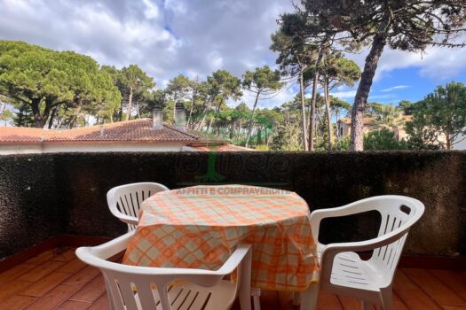 MURENE 25.6 – PRIMO PIANO