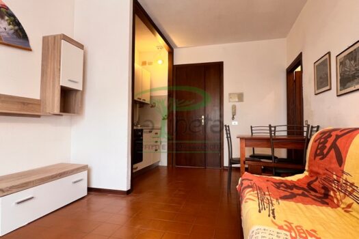 MURENE 25.6 – PRIMO PIANO