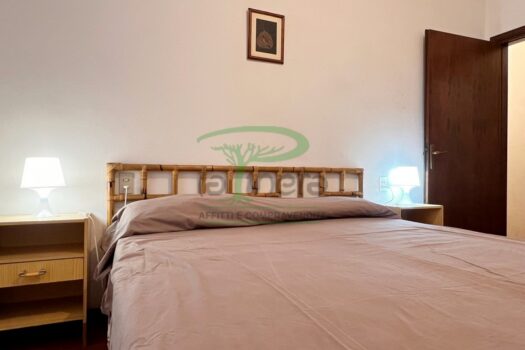 MURENE 23.1- TRILO PT