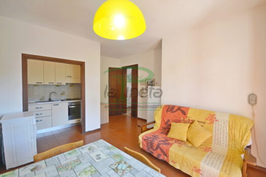 MURENE 25.1 – TRILO PT