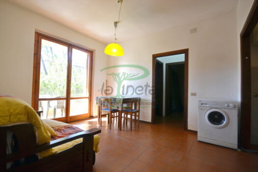 MURENE 25.1 – TRILO PT