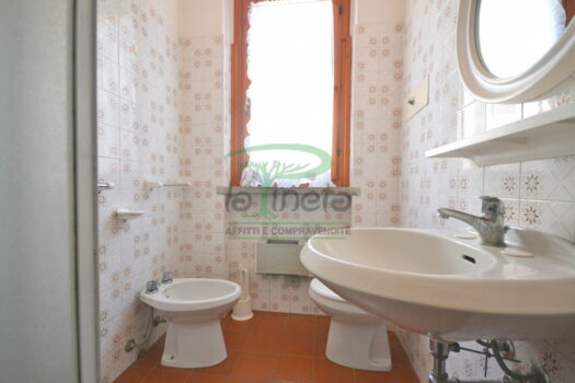 MURENE 25.1 – TRILO PT