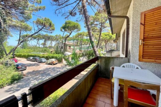 MURENE 27 – BILO PP