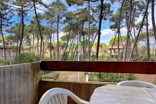 MURENE 29 – TRILO PP