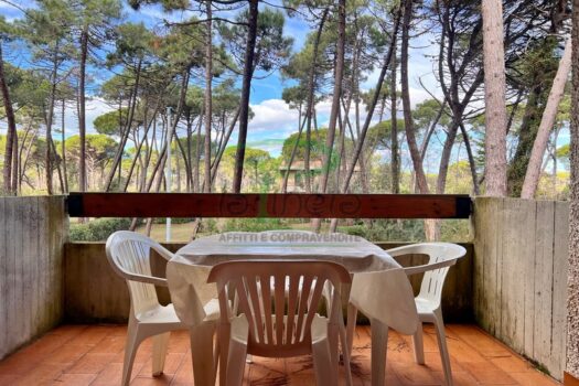 MURENE 29 – TRILO PP