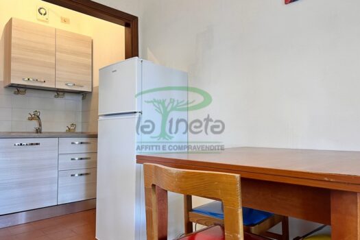 MURENE 29 – TRILO PP