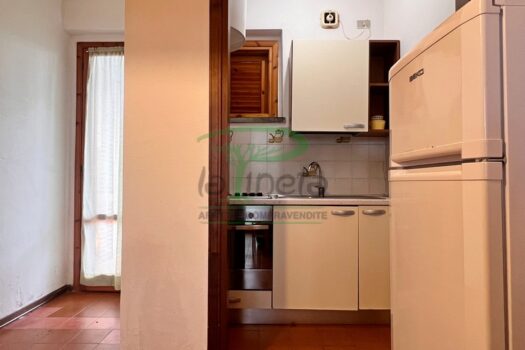 MURENE 35 – TRILO PP