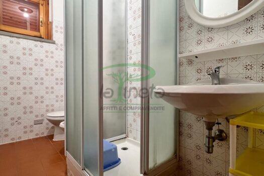 MURENE 35 – TRILO PP