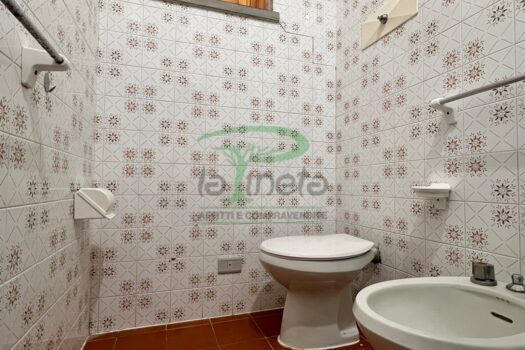 MURENE 35 – TRILO PP