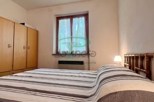 MURENE 35 – TRILO PP