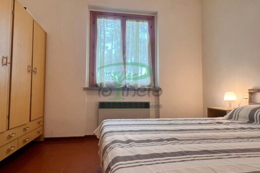 MURENE 35 – TRILO PP