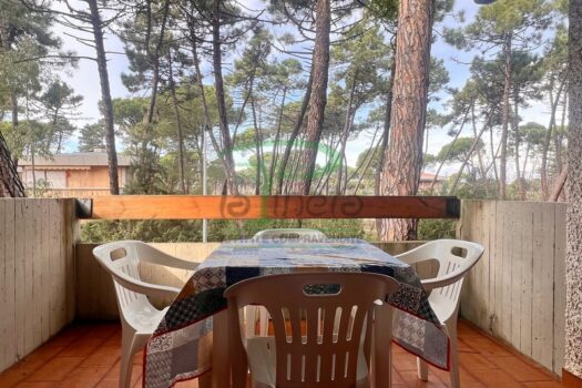 MURENE 35 – TRILO PP