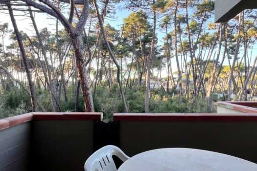 ARAGOSTA 51.4 – BILO PP