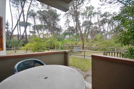 ARAGOSTA 45 – TRILO PT