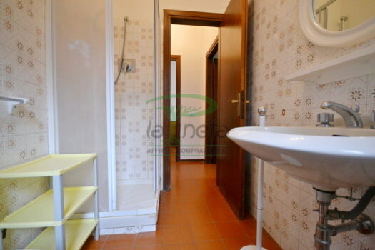 ARAGOSTA 45 – TRILO PT