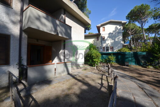 ARAGOSTA 47 – TRILO PT