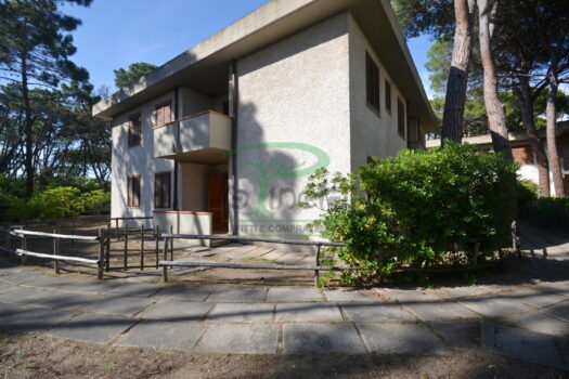 ARAGOSTA 47 – TRILO PT