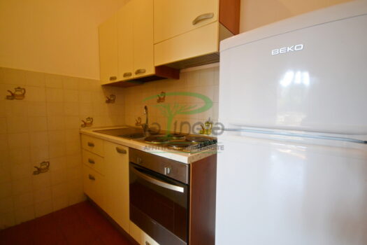 ARAGOSTA 47 – TRILO PT