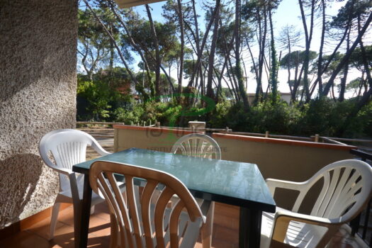 ARAGOSTA 47 – TRILO PT