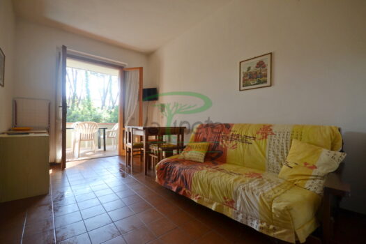 ARAGOSTA 47 – TRILO PT