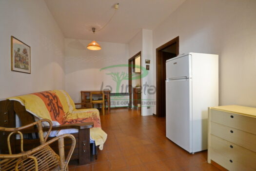 ARAGOSTA 49 – BILO PT