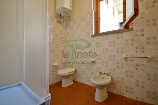 ARAGOSTA 49 – BILO PT