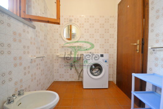 ARAGOSTA 49 – BILO PT