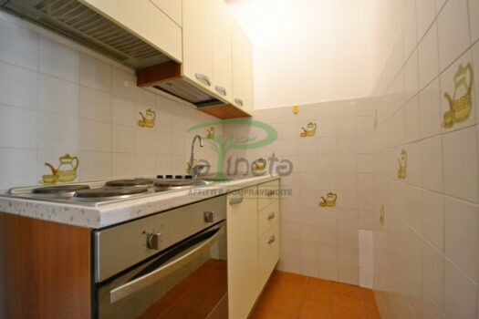 ARAGOSTA 49 – BILO PT