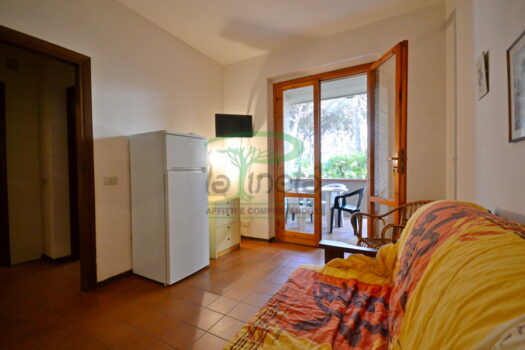 ARAGOSTA 49 – BILO PT