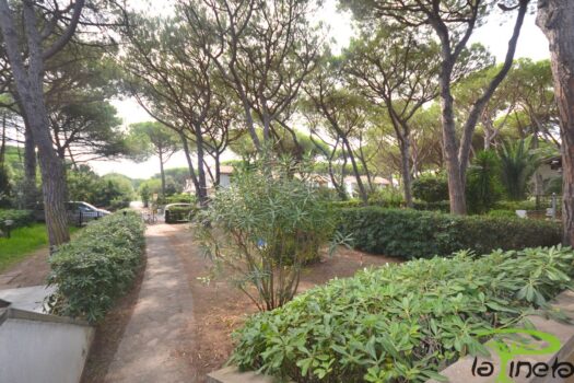 SQUALO 19 – VILLETTA