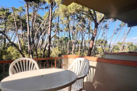 ARAGOSTA 43.1 – TRILO PP