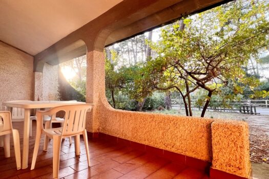 MURENE 45 – QUADRILOCALE PT