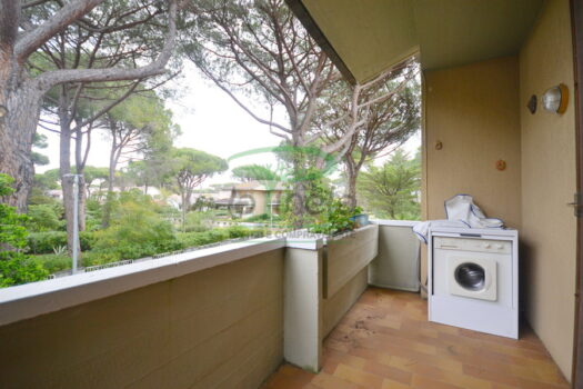 SPIGOLA 20 – VILLETTA SCHIERA